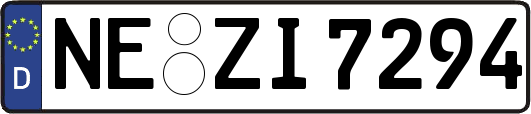 NE-ZI7294