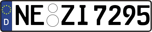 NE-ZI7295