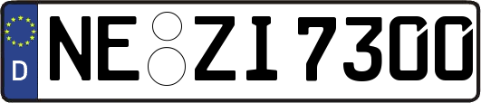 NE-ZI7300