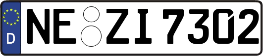 NE-ZI7302