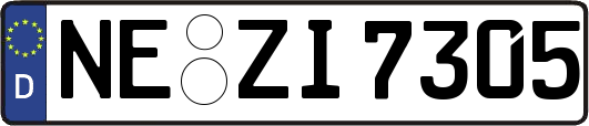 NE-ZI7305