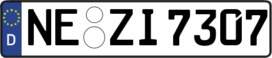 NE-ZI7307