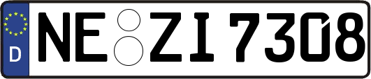NE-ZI7308