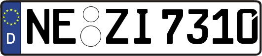 NE-ZI7310
