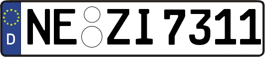NE-ZI7311