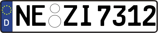NE-ZI7312