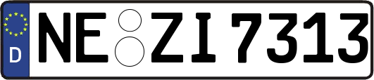 NE-ZI7313