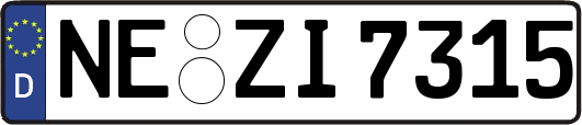 NE-ZI7315