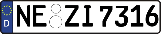 NE-ZI7316