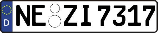 NE-ZI7317