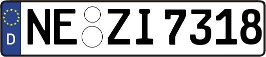 NE-ZI7318