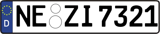 NE-ZI7321