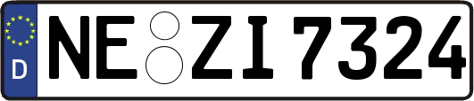 NE-ZI7324