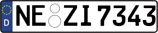 NE-ZI7343