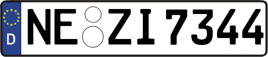 NE-ZI7344