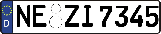 NE-ZI7345