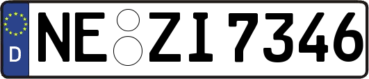 NE-ZI7346