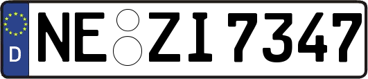 NE-ZI7347