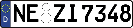 NE-ZI7348