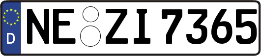 NE-ZI7365