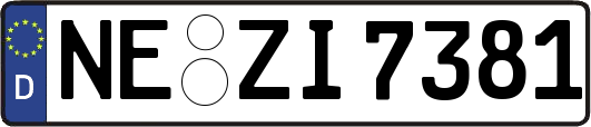 NE-ZI7381