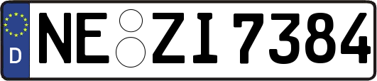 NE-ZI7384