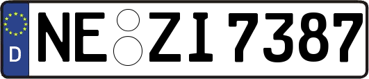 NE-ZI7387