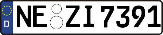 NE-ZI7391