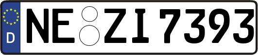 NE-ZI7393