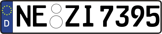NE-ZI7395