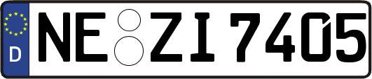 NE-ZI7405