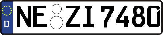 NE-ZI7480