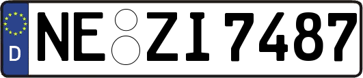 NE-ZI7487