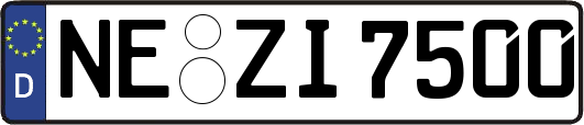 NE-ZI7500