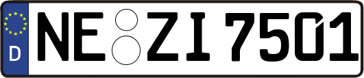 NE-ZI7501