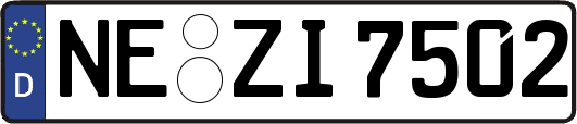 NE-ZI7502