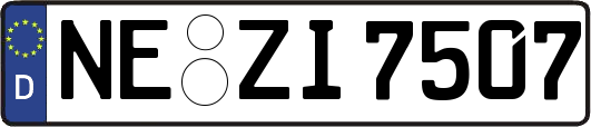 NE-ZI7507