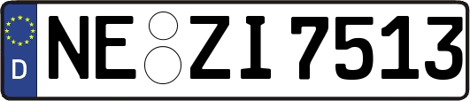 NE-ZI7513