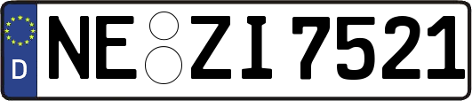 NE-ZI7521