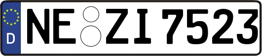 NE-ZI7523