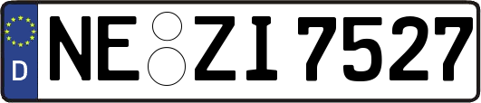 NE-ZI7527