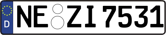 NE-ZI7531