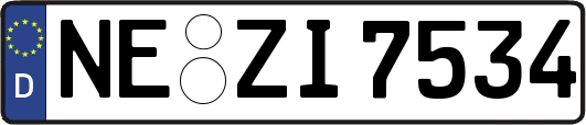 NE-ZI7534