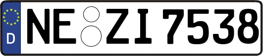 NE-ZI7538