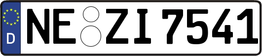 NE-ZI7541