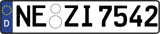 NE-ZI7542