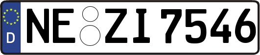 NE-ZI7546