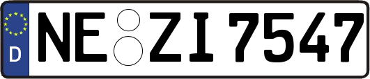 NE-ZI7547