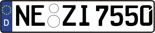 NE-ZI7550