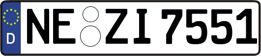NE-ZI7551